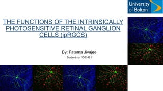 THE FUNCTIONS OF THE INTRINSICALLY
PHOTOSENSITIVE RETINAL GANGLION
CELLS (ipRGCS)
By: Fatema Jivajee
Student no: 1301461
 