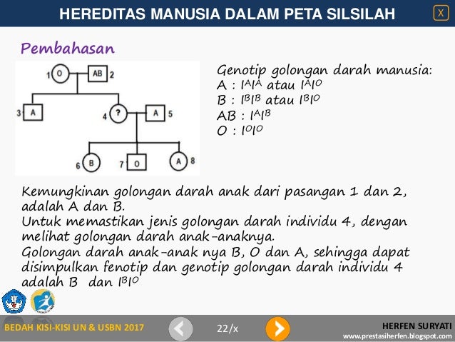 Bagan Golongan Darah Individu X Besrta Jawaban Books Story