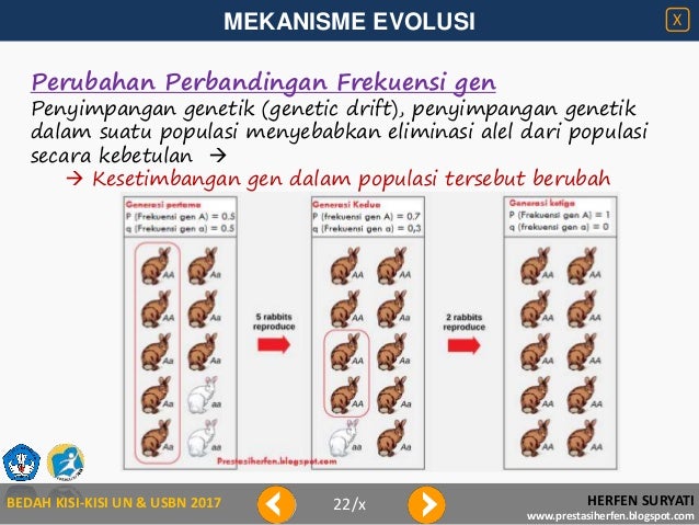 Bedah kisi kisi 2017- mekanisme evolusi