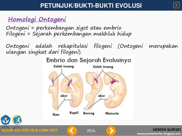 Bedah kisi kisi 2017-petunjuk evolusi