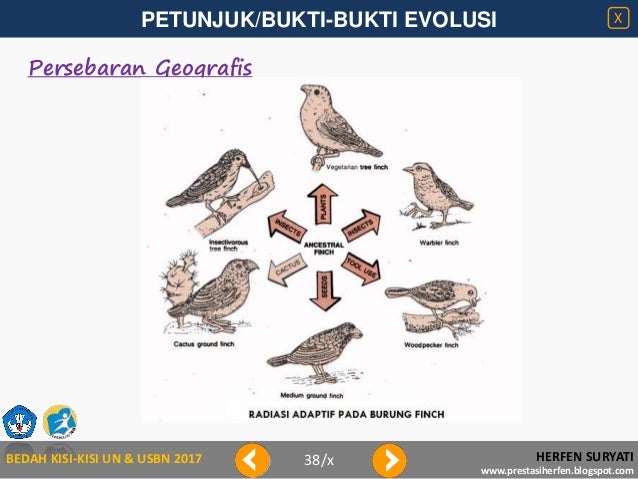Bedah Kisi Kisi 2017 Petunjuk Evolusi