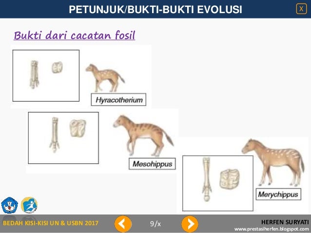 Bedah Kisi Kisi 2017 Petunjuk Evolusi