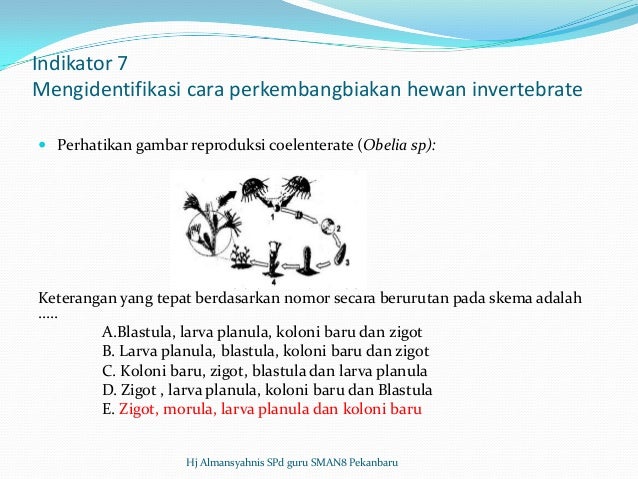 Bedah Skl Biologi Sma Tp 2012 2013