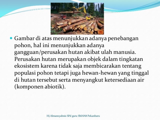Bedah SKL Biologi SMA TP 2012 2013