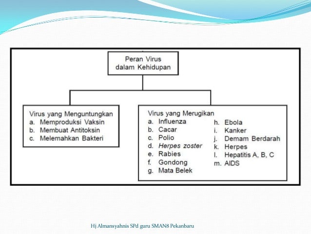 Bedah SKL Biologi SMA TP 2012 2013
