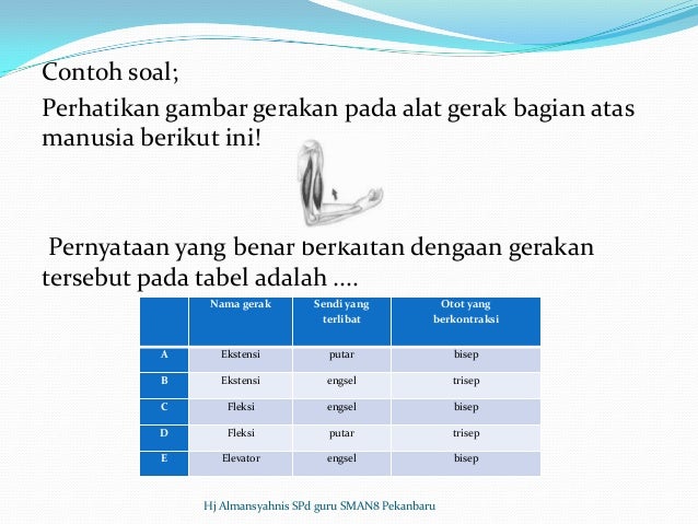 Bedah Skl Biologi Sma Tp 2012 2013