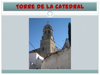 Torre de la Catedral

 