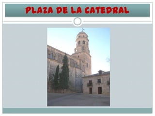 Plaza de la Catedral

 