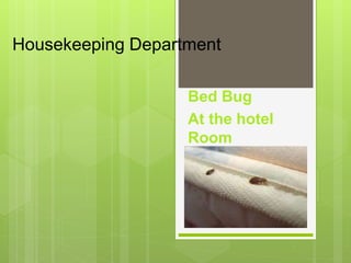 Housekeeping Department
Bed Bug
At the hotel
Room
 