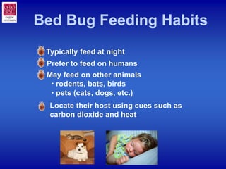 Bed Bug Feeding Habits
• Typically feed at night
• Prefer to feed on humans
• May feed on other animals
   • rodents, bats...