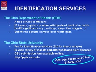 IDENTIFICATION SERVICES
The Ohio Department of Health (ODH)
   –   A free service to Ohioans
   –   ID insects, spiders or...