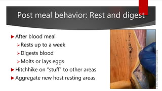 Post meal behavior: Rest and digest
 After blood meal
Rests up to a week
Digests blood
Molts or lays eggs
 Hitchhike on “stuff” to other areas
 Aggregate new host resting areas
J.Green,NebraskaExtensioninLancasterCounty
 