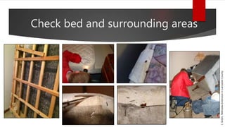 Check bed and surrounding areas
J.Green,NebraskaExtensioninLancasterCounty
 