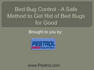 Bed Bug Control - A Safe Method to Get Rid of Bed Bugs for Good Brought to you by: www.Pestrol.com 