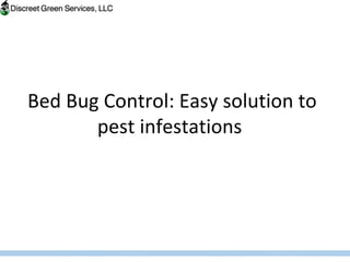 Bed Bug Control: Easy solution to pest infestations  