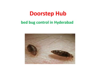 Doorstep Hub
bed bug control in Hyderabad
 