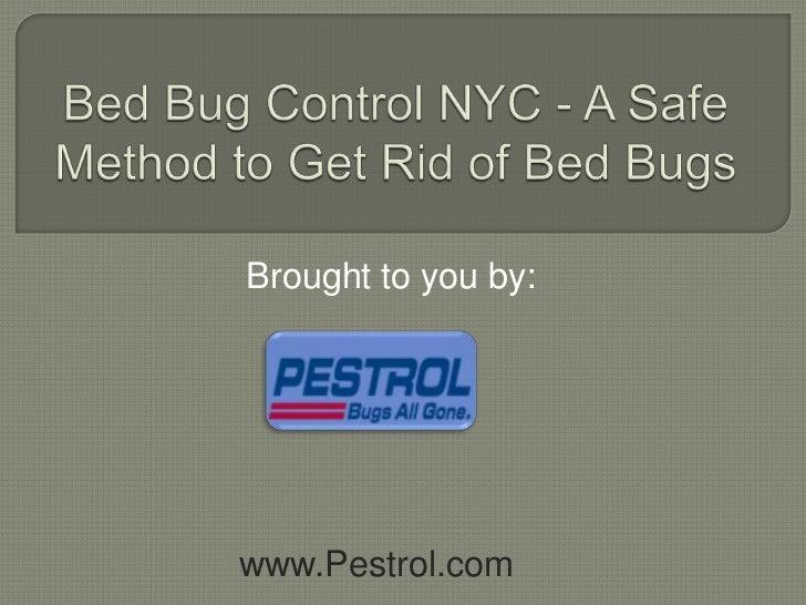Bed Bug Control NYC A Safe Method to Get Rid of Bed Bugs