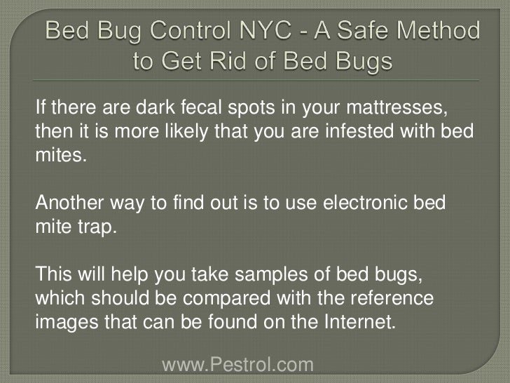 Bed Bug Control NYC A Safe Method to Get Rid of Bed Bugs