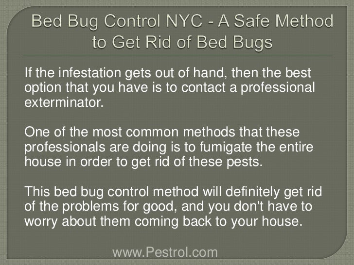 bed bug dog nyc