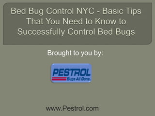 Bed Bug Control NYC - Basic Tips That You Need to Know to Successfully Control Bed Bugs Brought to you by: www.Pestrol.com 