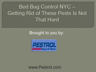 Bed Bug Control NYC – Getting Rid of These Pests Is Not That Hard Brought to you by: www.Pestrol.com 