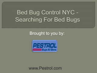 Bed Bug Control NYC - Searching For Bed Bugs Brought to you by: www.Pestrol.com 