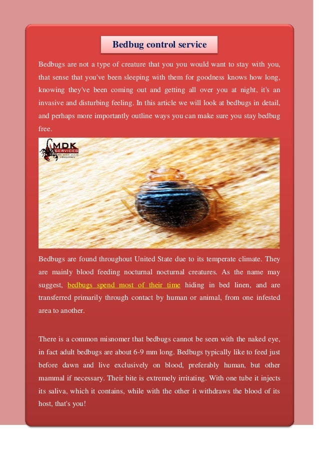Bedbug control service
Bedbugs are not a type of creature that you you would want to stay with you,
that sense that you've been sleeping with them for goodness knows how long,
knowing they've been coming out and getting all over you at night, it's an
invasive and disturbing feeling. In this article we will look at bedbugs in detail,
and perhaps more importantly outline ways you can make sure you stay bedbug
free.
Bedbugs are found throughout United State due to its temperate climate. They
are mainly blood feeding nocturnal nocturnal creatures. As the name may
suggest, bedbugs spend most of their time hiding in bed linen, and are
transferred primarily through contact by human or animal, from one infested
area to another.
There is a common misnomer that bedbugs cannot be seen with the naked eye,
in fact adult bedbugs are about 6-9 mm long. Bedbugs typically like to feed just
before dawn and live exclusively on blood, preferably human, but other
mammal if necessary. Their bite is extremely irritating. With one tube it injects
its saliva, which it contains, while with the other it withdraws the blood of its
host, that's you!
 