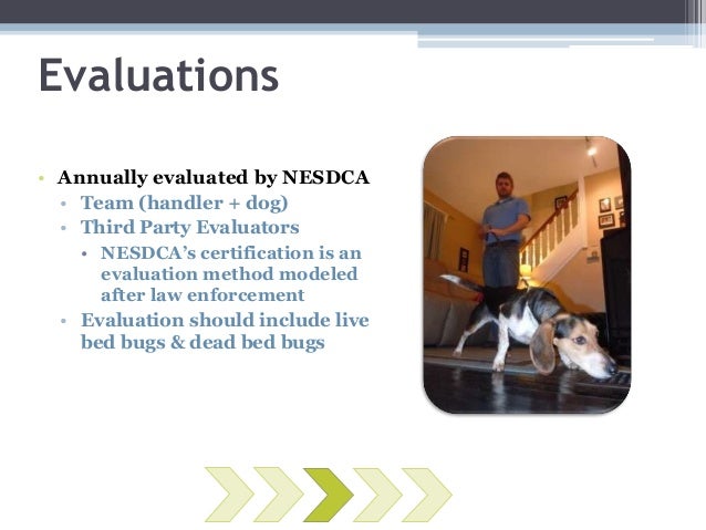 Bed Bug Detection Dog Certification Bed Bug Detection Dog Certification