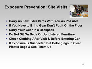 Exposure Prevention: Site Visits


  Carry As Few Extra Items With You As Possible
  If You Have to Bring Gear Don’t Put It On the Floor
  Carry Your Gear in a Backpack
  Do Not Sit On Beds Or Upholstered Furniture
  Check Clothing After Visit & Before Entering Car
  If Exposure is Suspected Put Belongings In Clear
  Plastic Bags & Seal Them Up




                                                    10
 