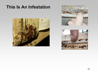 This Is An Infestation




                         12
 