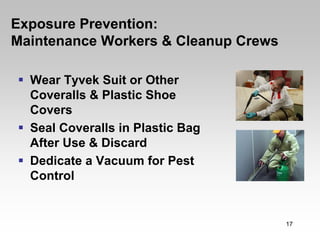 Exposure Prevention:
Maintenance Workers & Cleanup Crews

  Wear Tyvek Suit or Other
  Coveralls & Plastic Shoe
  Covers
  Seal Coveralls in Plastic Bag
  After Use & Discard
  Dedicate a Vacuum for Pest
  Control


                                      17
 