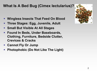 What Is A Bed Bug (Cimex lectularius)?


  Wingless Insects That Feed On Blood
  Three Stages: Egg, Juvenile, Adult
  Small But Visible At All Stages
  Found In Beds, Under Baseboards,
  Clothing, Furniture, Bedside Clutter,
  Crevices & Cracks
  Cannot Fly Or Jump
  Photophobic (Do Not Like The Light)




                                          2
 