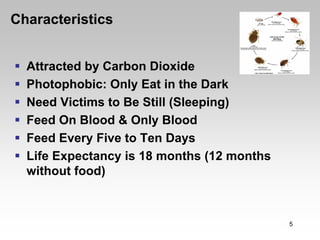 Characteristics


  Attracted by Carbon Dioxide
  Photophobic: Only Eat in the Dark
  Need Victims to Be Still (Sleeping)
  Feed On Blood & Only Blood
  Feed Every Five to Ten Days
  Life Expectancy is 18 months (12 months
  without food)



                                            5
 