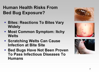 Human Health Risks From
Bed Bug Exposure?

  Bites: Reactions To Bites Vary
  Widely
  Most Common Symptom: Itchy
  Welts
  Scratching Welts Can Cause
  Infection at Bite Site
  Bed Bugs Have Not Been Proven
  To Pass Infectious Diseases To
  Humans

                                   7
 