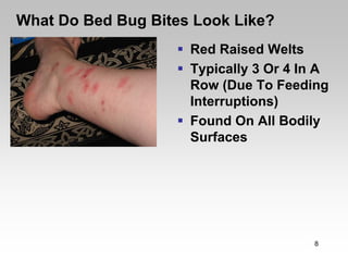 What Do Bed Bug Bites Look Like?
                     Red Raised Welts
                     Typically 3 Or 4 In A
                     Row (Due To Feeding
                     Interruptions)
                     Found On All Bodily
                     Surfaces




                                       8
 