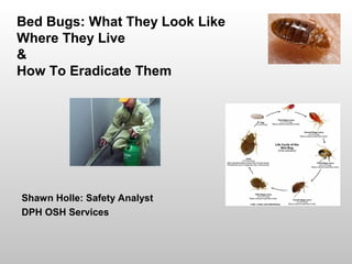 Bed Bugs: What They Look Like
Where They Live
&
How To Eradicate Them
Shawn Holle: Safety Analyst
DPH OSH Services
 