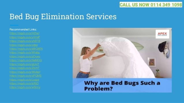 Bed Bug Elimination Services
Recommended Links:
https://mgyb.co/s/HZhef
https://mgyb.co/s/yVVsP
https://mgyb.co/s/yhSTB
https://mgyb.co/s/cdjqt
https://mgyb.co/s/sWQWN
https://mgyb.co/s/WIabg
https://mgyb.co/s/pOuwz
https://mgyb.co/s/NeMDQ
https://mgyb.co/s/gUoiT
https://mgyb.co/s/ZtnHT
https://mgyb.co/s/WUbpf
https://mgyb.co/s/oPQMS
https://mgyb.co/s/Lxqzd
https://mgyb.co/s/tcRjQ
https://mgyb.co/s/wSrmy
CALL US NOW 0114 349 1098
 