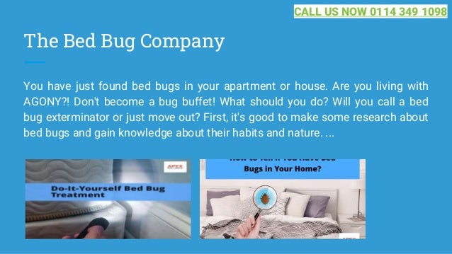 The Bed Bug Company
You have just found bed bugs in your apartment or house. Are you living with
AGONY?! Don't become a bug buffet! What should you do? Will you call a bed
bug exterminator or just move out? First, it's good to make some research about
bed bugs and gain knowledge about their habits and nature. ...
CALL US NOW 0114 349 1098
 