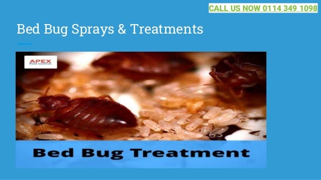 Bed Bug Sprays & Treatments
CALL US NOW 0114 349 1098
 