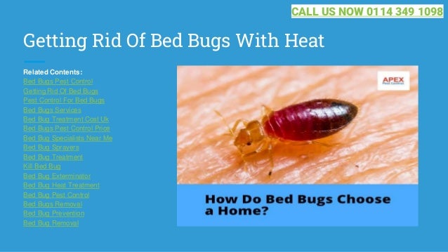 Getting Rid Of Bed Bugs With Heat
Related Contents:
Bed Bugs Pest Control
Getting Rid Of Bed Bugs
Pest Control For Bed Bugs
Bed Bugs Services
Bed Bug Treatment Cost Uk
Bed Bugs Pest Control Price
Bed Bug Specialists Near Me
Bed Bug Sprayers
Bed Bug Treatment
Kill Bed Bug
Bed Bug Exterminator
Bed Bug Heat Treatment
Bed Bug Pest Control
Bed Bugs Removal
Bed Bug Prevention
Bed Bug Removal
CALL US NOW 0114 349 1098
 