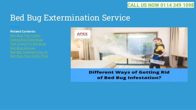 Bed Bug Extermination Service
Related Contents:
Bed Bugs Pest Control
Getting Rid Of Bed Bugs
Pest Control For Bed Bugs
Bed Bugs Services
Bed Bug Treatment Cost Uk
Bed Bugs Pest Control Price
CALL US NOW 0114 349 1098
 