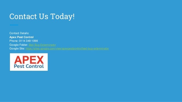 Contact Us Today!
Contact Details:
Apex Pest Control
Phone: 0114 349 1098
Google Folder: Bed Bug Exterminator
Google Site: https://sites.google.com/view/apexpestcontrol/bed-bug-exterminator
 
