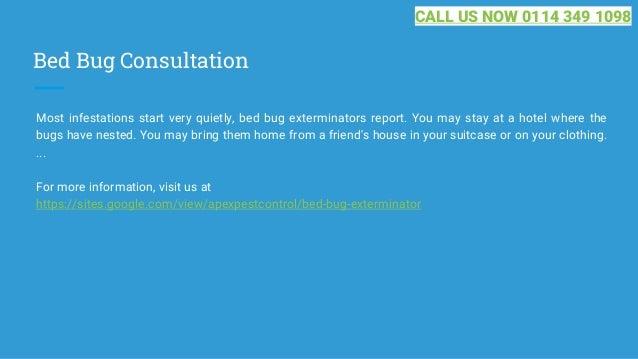 Bed Bug Consultation
Most infestations start very quietly, bed bug exterminators report. You may stay at a hotel where the
bugs have nested. You may bring them home from a friend's house in your suitcase or on your clothing.
...
For more information, visit us at
https://sites.google.com/view/apexpestcontrol/bed-bug-exterminator
CALL US NOW 0114 349 1098
 