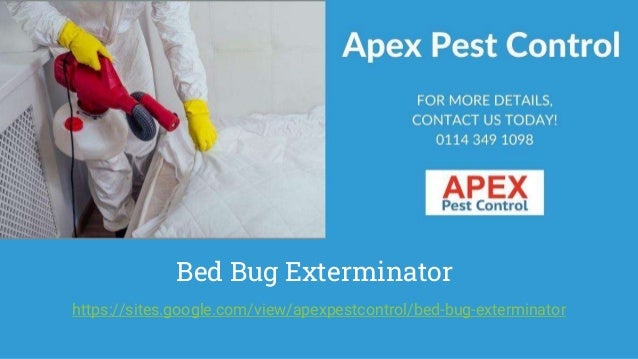 Bed Bug Exterminator
https://sites.google.com/view/apexpestcontrol/bed-bug-exterminator
 