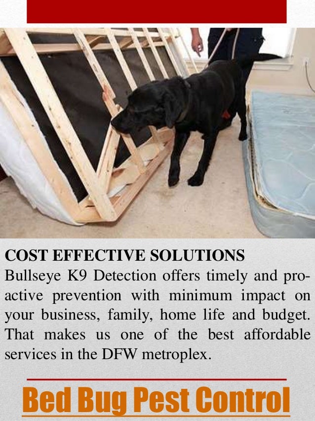 Bed Bug Exterminator Dallas Cost Bed Bug Exterminator Dallas Cost