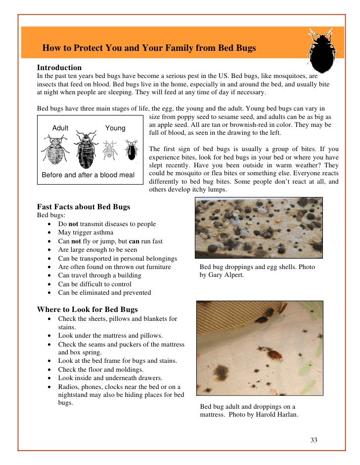 Bed Bug Guidelines For Shelters And Group Living Facilities