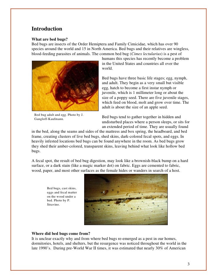 Bed Bug Service Preparation Checklist Bed Bug Service Preparation Checklist