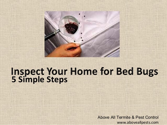 5 Tips To Determine If You Have Bed Bugs New Jersey Pest Control Com