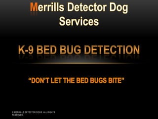 © MERRILLS DETECTOR DOGS. ALL RIGHTS
RESERVED.
 