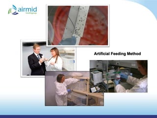 Artificial Feeding Method
 